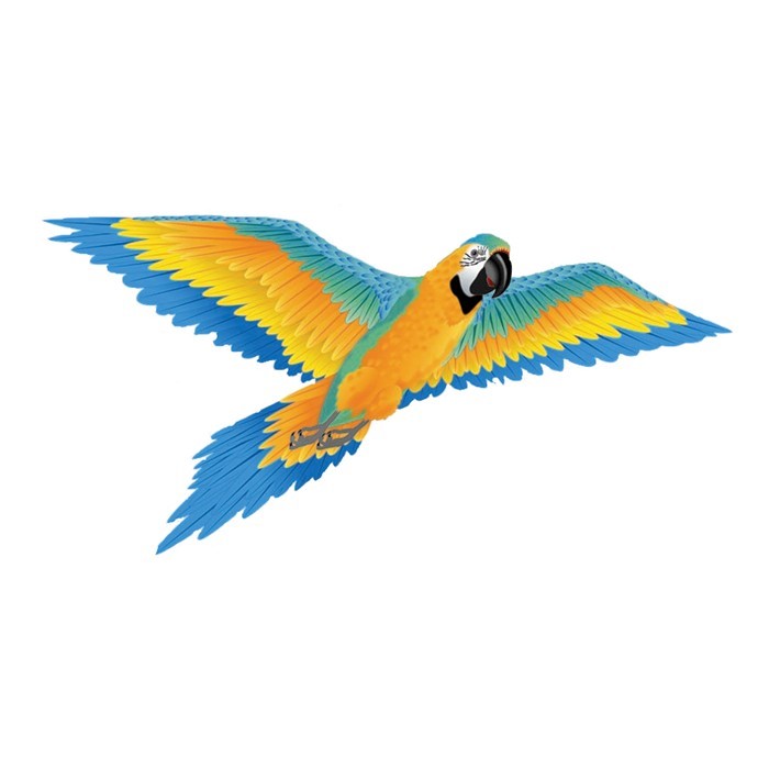 X-Kites & WindNSun 3D Supersize Blue Macaw X-72102
