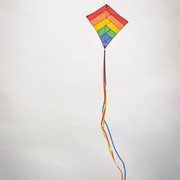In the Breeze Rainbow Overlay 30" Diamond Kite 2947 View 2