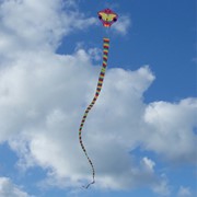 In the Breeze Serpent Kite 3020 View 2