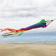 In the Breeze 24" Rainbow Spinsock 4220 View 2