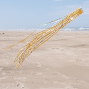 In the Breeze Gold 51" Mylar Windsock 9055 View 2