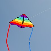 In the Breeze Rainbow Stripe 30" Delta Kite 3192 View 2