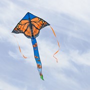In the Breeze Monarch Swarm 45" Fly-Hi Kite 3197 View 2