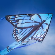 In the Breeze Blue Butterfly Swarm 45" Fly-Hi Kite 3199 View 2