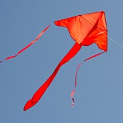 In the Breeze Red Colorfly 43" Fly-Hi Kite 3208 View 2