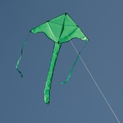 In the Breeze Green Colorfly 43" Fly-Hi Kite 3211 View 2