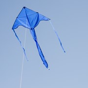 In the Breeze Blue Colorfly 43" Fly-Hi Kite 3212 View 2