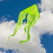 In the Breeze Green 52" Wave Delta Kite 3223 View 2