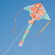 In the Breeze Clownfish 45" Fly-Hi Kite 3229 View 2