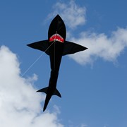 In the Breeze 7.5' 3D Shark Kite 3233 View 2