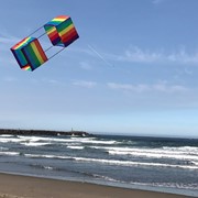 In the Breeze Rainbow Stripe Box Kite 3254 View 2