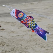 In the Breeze 18" Spectrum Koi on Wand 5049 View 2