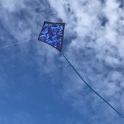 In the Breeze Sharks Camouflage 30" Diamond Kite 3265 View 2