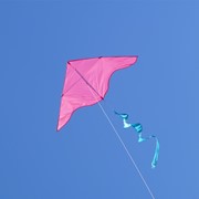 In the Breeze Pink/Aqua Colorblock Delta Kite 3271 View 2