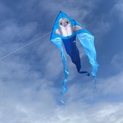 In the Breeze Dolphin 52" Wave Delta Kite 3280 View 2