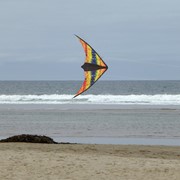 In the Breeze Groovy Stunter Sport Kite (Optimized for Shipping) 3309 View 2