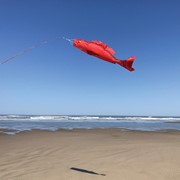 In the Breeze Red Snapper 48" Fish Windsock 5158 View 2