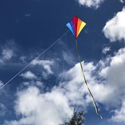 In the Breeze Rainbow 30" Diamond Kite 1003 View 3