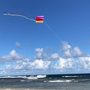 In the Breeze Sled Kite 2912 View 3