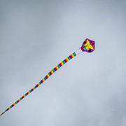 In the Breeze Serpent Kite 3020 View 3