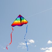 In the Breeze Rainbow Stripe 30" Delta Kite 3192 View 3