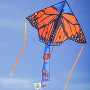 In the Breeze Monarch Swarm 45" Fly-Hi Kite 3197 View 3