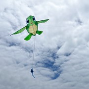 In the Breeze Baby Tortuga Kite 3204 View 3