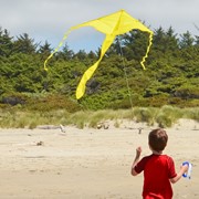 In the Breeze Yellow Colorfly 43" Fly-Hi Kite 3210 View 3