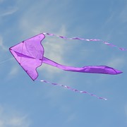 In the Breeze Purple Colorfly 43" Fly-Hi Kite 3213 View 3