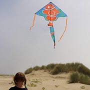 In the Breeze Clownfish 45" Fly-Hi Kite 3229 View 3