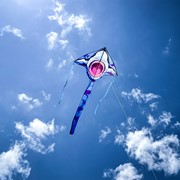 In the Breeze Great White 45" Fly-Hi Kite 3238 View 3