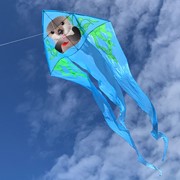 In the Breeze Otter 52" Wave Delta Kite 3281 View 3