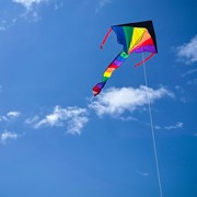 In the Breeze Mini Rainbow Fly-Hi Kite 2905 View 4