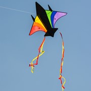 In the Breeze Rainbow Jet Kite 3157 View 4