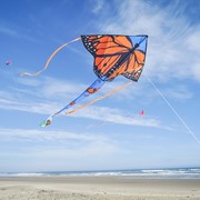 In the Breeze Monarch Swarm 45" Fly-Hi Kite 3197 View 4