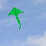 In the Breeze Green Colorfly 43" Fly-Hi Kite 3211 View 4