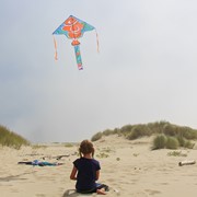 In the Breeze Clownfish 45" Fly-Hi Kite 3229 View 4