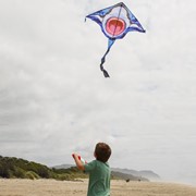 In the Breeze Great White 45" Fly-Hi Kite 3238 View 4