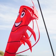 In the Breeze Lobster 3D Windsock 5010 View 4