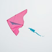 In the Breeze Pink/Aqua Colorblock Delta Kite 3271 View 4