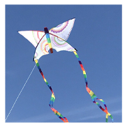 Butterfly Coloring Kite