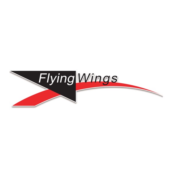 Flying Wings