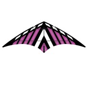 Purple DC Sport 70 Kite | In the Breeze | Wholesale Garden Décor