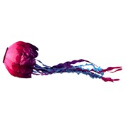 Jellyfish Fan Club box 4枚組 Wilfully Obscure: 1st Night of Chanukah - Jellyfish - Fan Club box