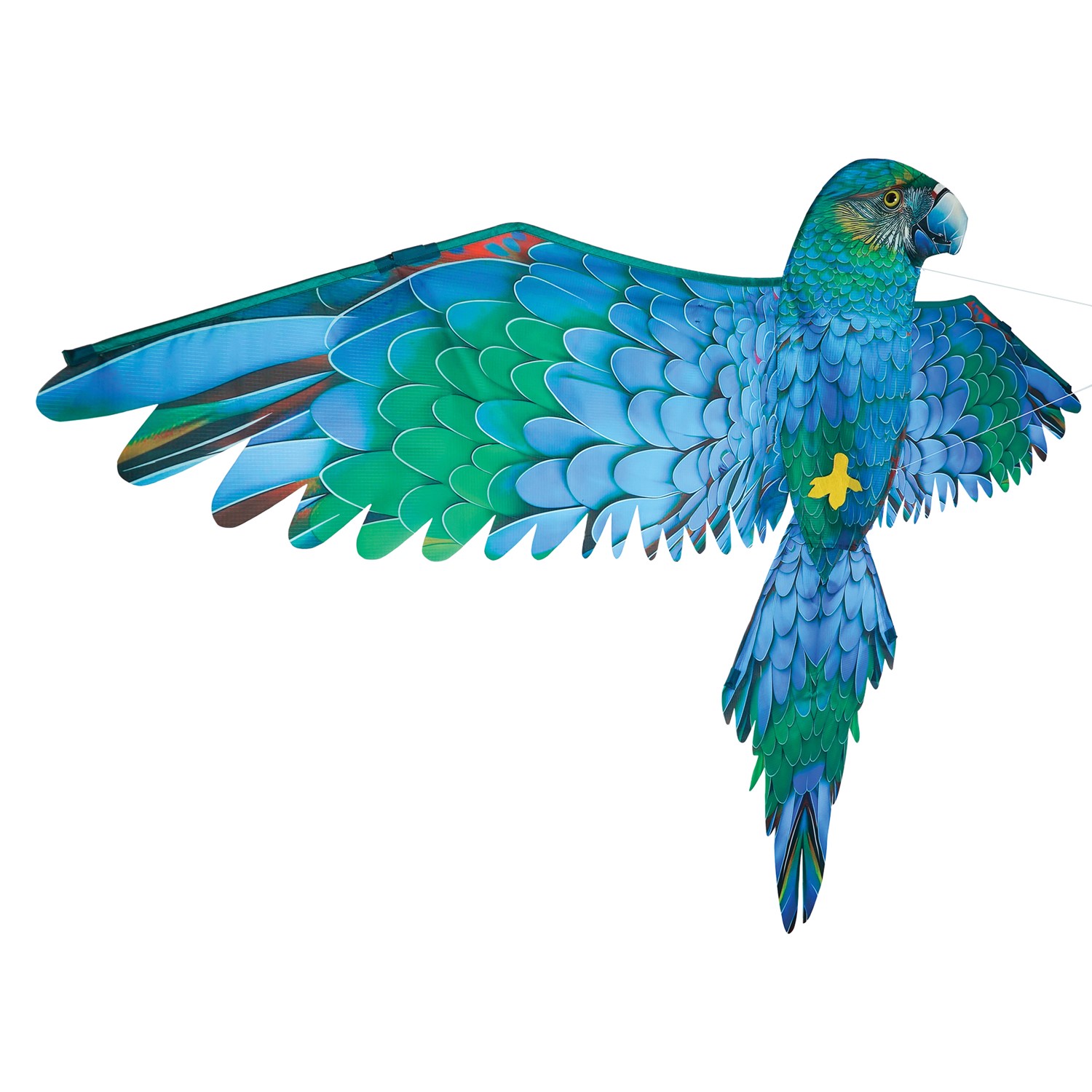In the Breeze 3D Blue Parrot Kite 3509