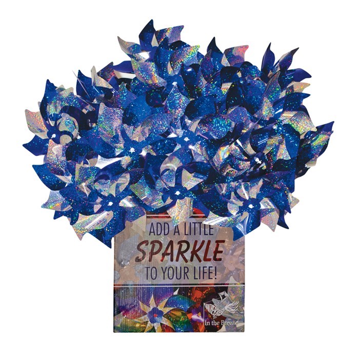 In the Breeze Blue & Silver Spirit Pinwheels 48 PC POP Display 2762-BOX