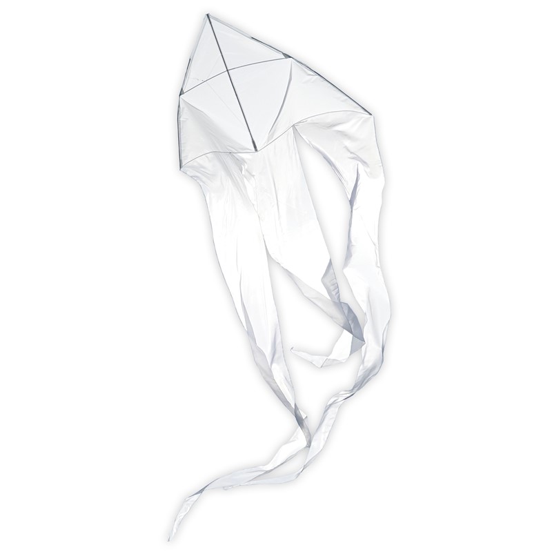 In the Breeze White 77" Wave Delta Kite 3356
