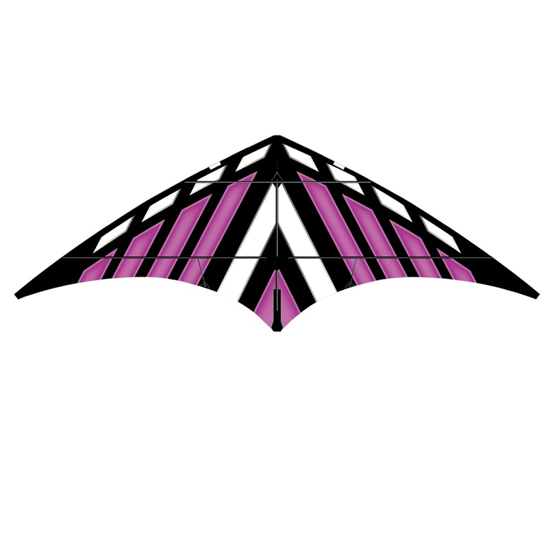 X-Kites & WindNSun Purple DC Sport 70 Kite X-72462