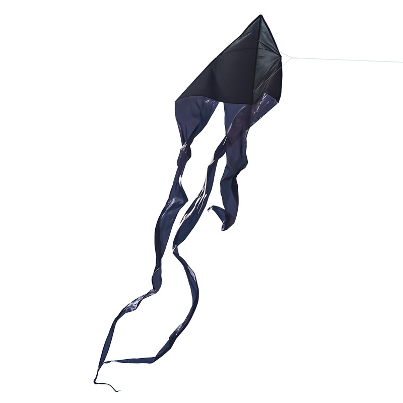 In the Breeze Black 77" Wave Delta Kite 3393