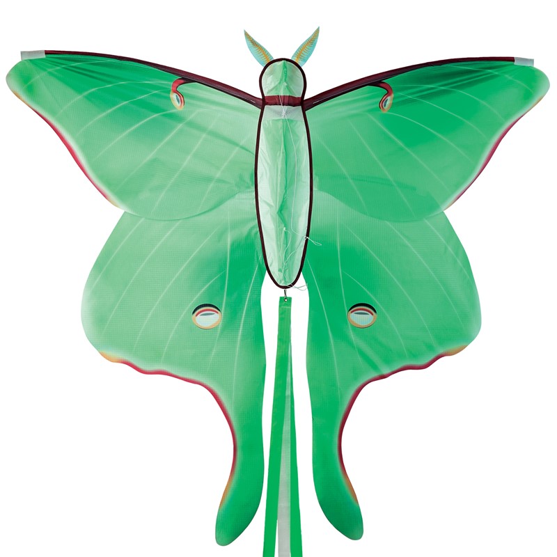 In the Breeze Luna Moth Kite 3398